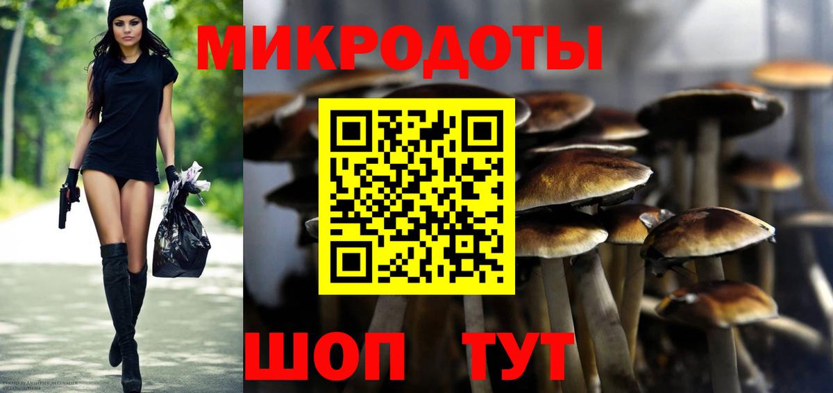 Псилоцибиновые грибы мицелий  Вход с VPN  где купить наркотик  Выкса 